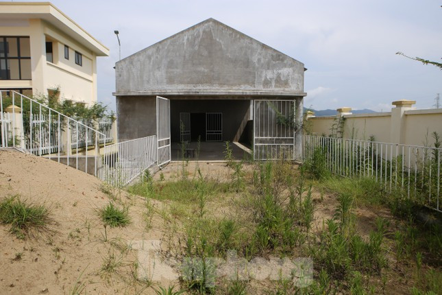 Khu vực nhốt động vật, gia súc tại trại kiểm dịch.