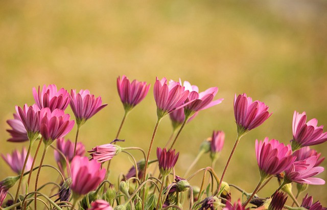 Người sinh tháng Âm lịch này đón vận may muộn, cuối đời sung túc Nguoi sinh thang Am lich nay don van may muon, cuoi doi sung tuc