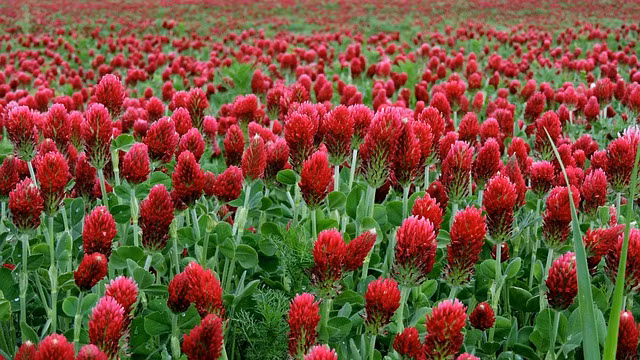 Nguoi sinh thang Am lich nay don van may muon, cuoi doi sung tuc-Hinh-4