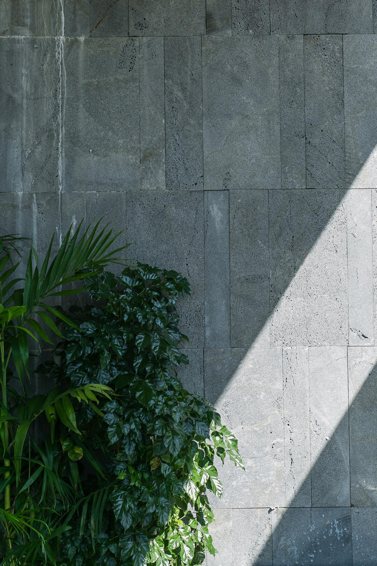 Nha pho thiet ke hien dai voi khong gian rop ca troi xanh mat-Hinh-5