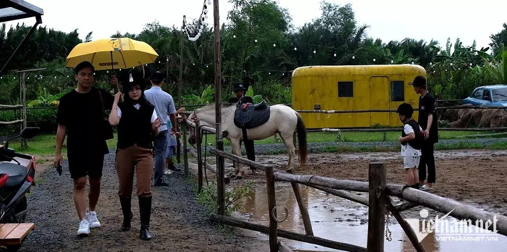 Bo tram trieu mua ngua de tap lam 'quy toc' o TP.HCM-Hinh-3