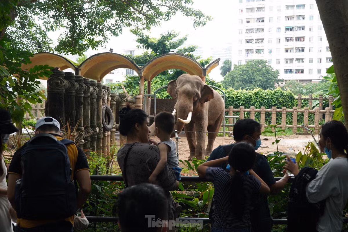 Theo các phụ huynh, không gian ở Thảo Cầm Viên thoáng mát, nhiều cây xanh, khung cảnh rộng lớn, có nhiều loài thú và nằm giữa trung tâm thành phố, rất tiện cho việc di chuyển của các gia đình.