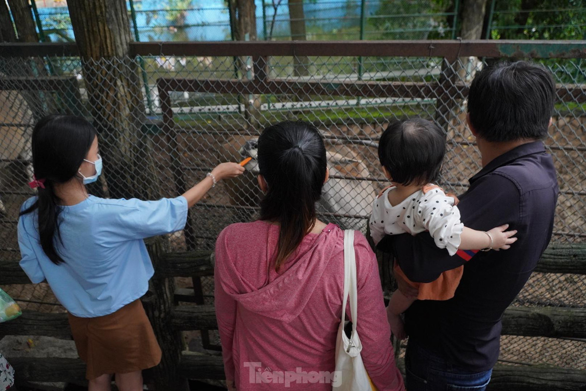 Thảo Cầm Viên luôn được xem là địa điểm tham quan, vui chơi cho các em nhỏ vào mỗi dịp Tết Thiếu nhi.
