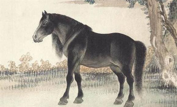 Rong, Ngua, Cho, Ho sinh vao may thang am lich nay duoc Than Tai phu ho-Hinh-2