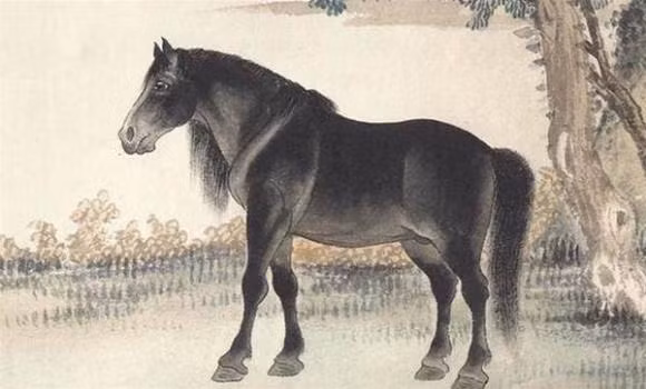 Rong, Ngua, Cho, Ho sinh vao may thang am lich nay duoc Than Tai phu ho-Hinh-2