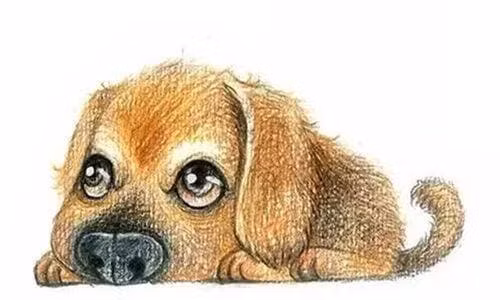 Rong, Ngua, Cho, Ho sinh vao may thang am lich nay duoc Than Tai phu ho-Hinh-3