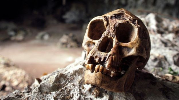 Sự biến mất bí ẩn của những loài người khác - Hình 2 Su bien mat bi an cua nhung loai nguoi khac-Hinh-2