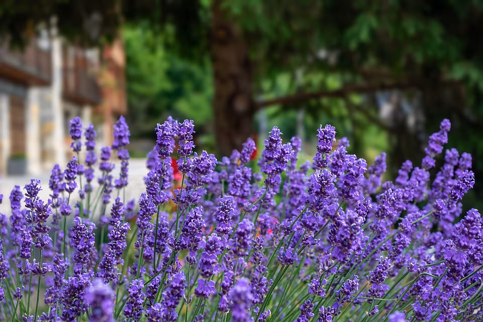Ai sinh ngay Am nay co dong doi tot, dat duoc thien ha, tuong lai sang-Hinh-2