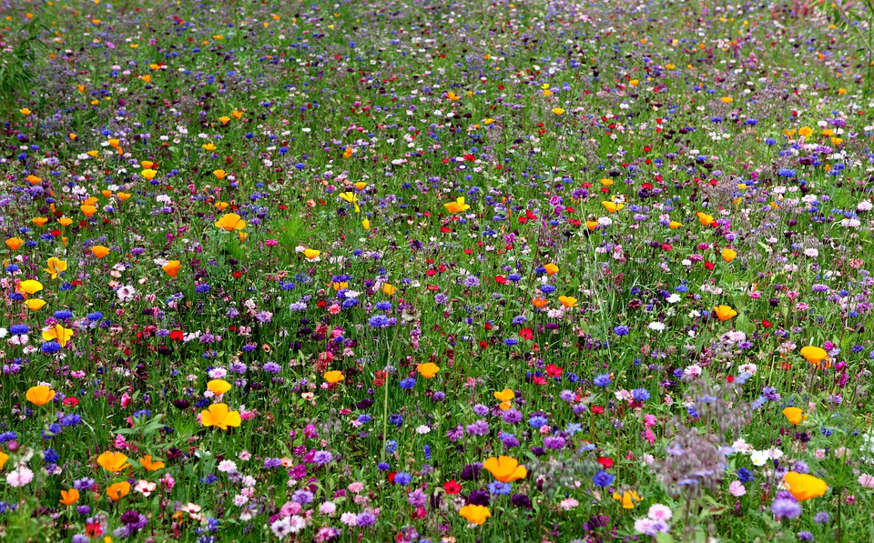 Ai sinh ngày Âm này có đồng đội tốt, đạt được thiên hạ, tương lai sáng - Hình 4 Ai sinh ngay Am nay co dong doi tot, dat duoc thien ha, tuong lai sang-Hinh-4