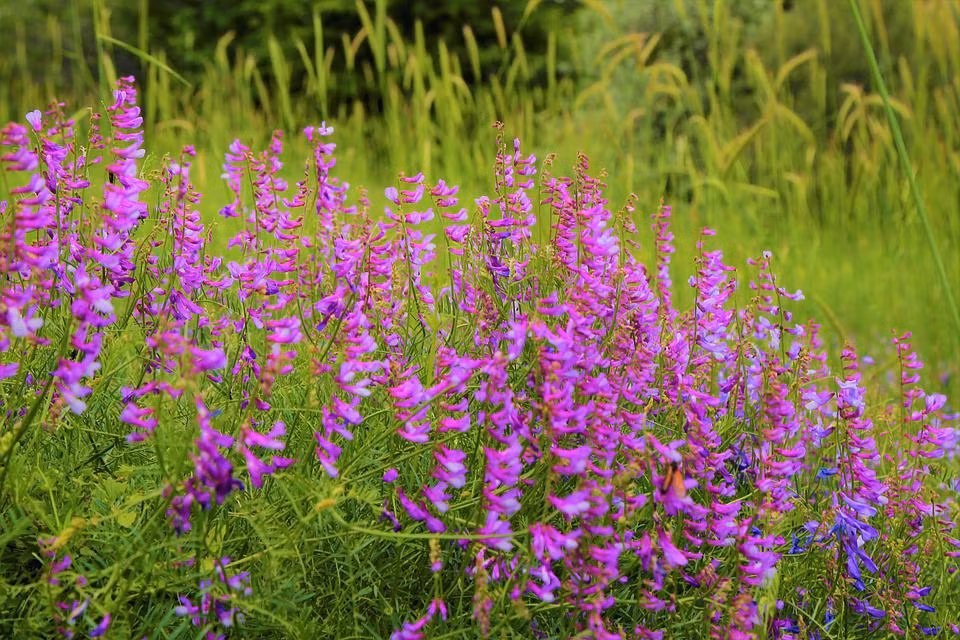 Ai sinh ngay Am nay co dong doi tot, dat duoc thien ha, tuong lai sang