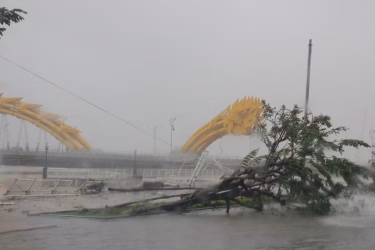 Hàng rào dọc bờ sông phía dưới cầu Rồng bị quật đổ