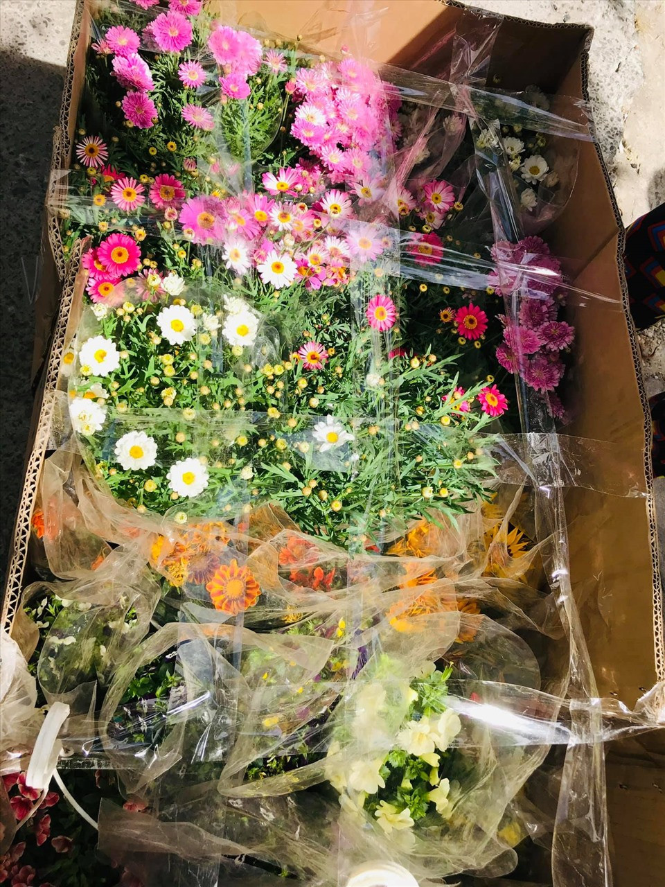 Cô mua hoa về để trồng quanh vườn biệt thự.