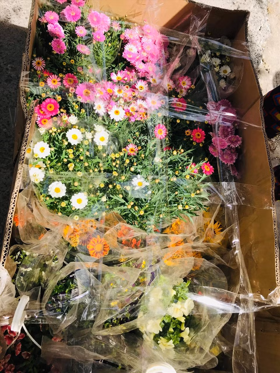 Cô mua hoa về để trồng quanh vườn biệt thự.