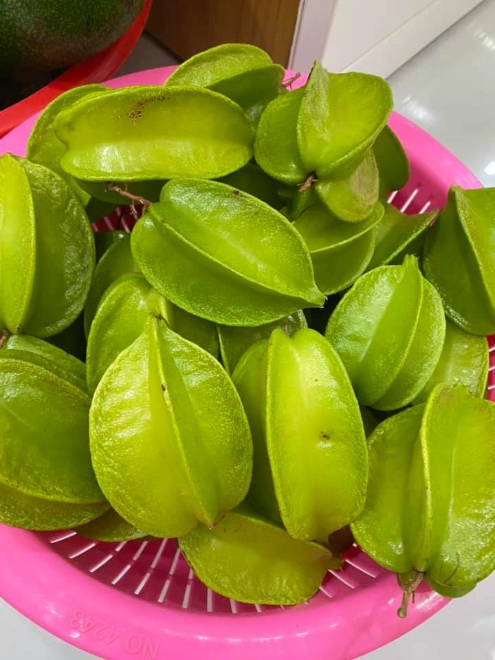 Thành quả thu hoạch vườn của Vy Oanh.