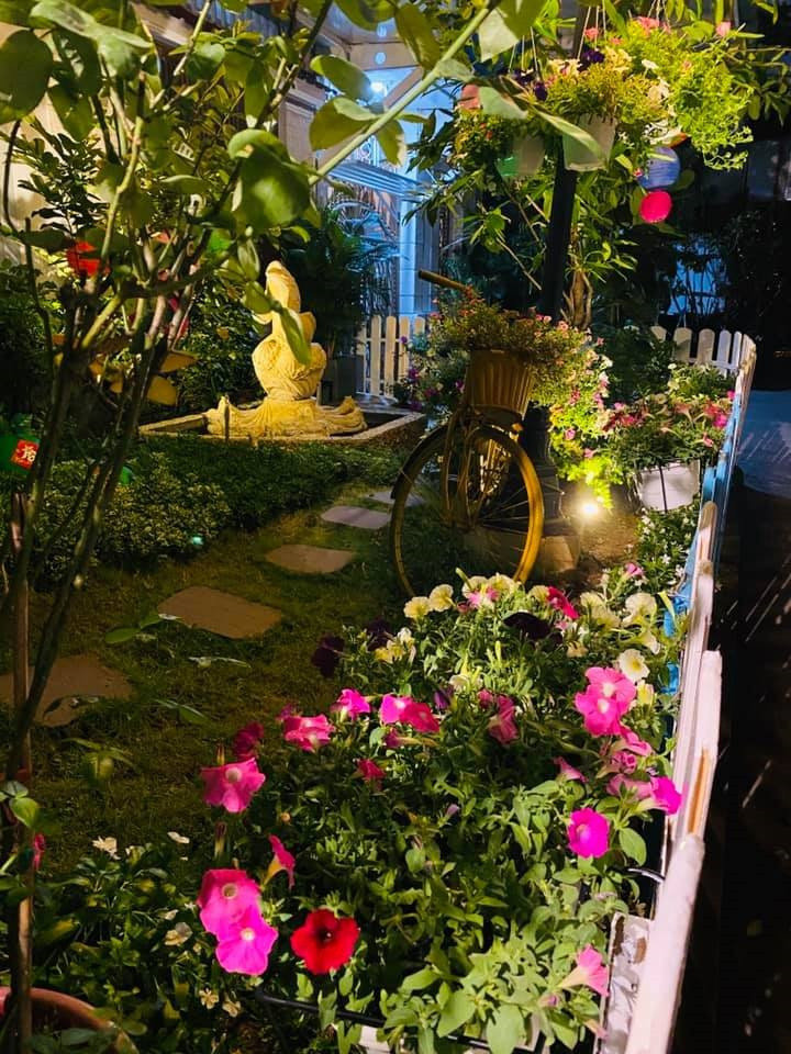 Không gian vườn hoa về đêm.