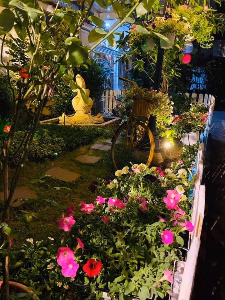 Không gian vườn hoa về đêm.