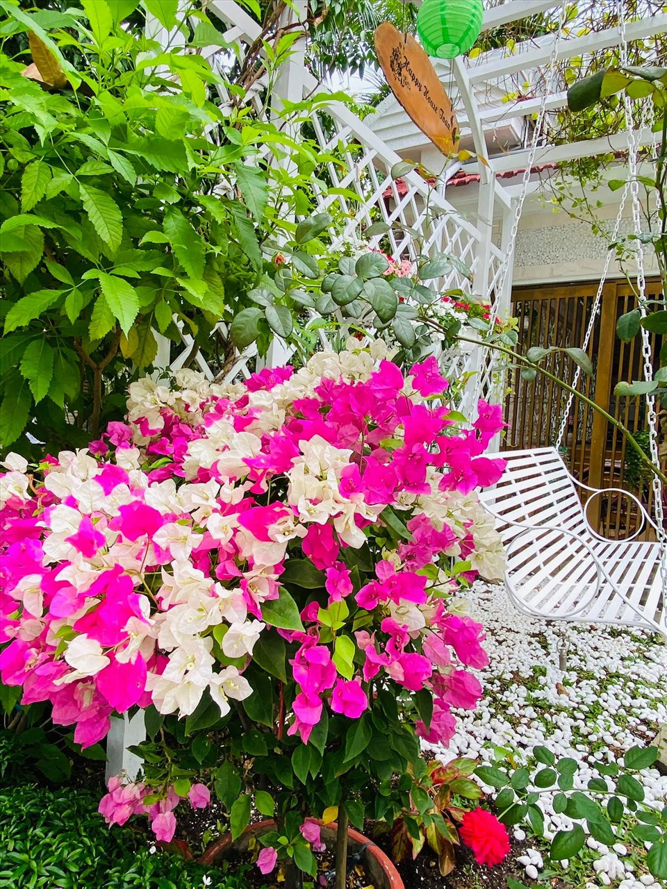 ... Ca sĩ Vy Oanh cho biết, cô rất yêu thích thiên nhiên, vì thế, xung quanh biệt thự đều được bố trí khéo léo với những khóm hoa tươi, cây ăn trái. Trong khu vườn, Vy Oanh và ông xã chọn nhiều vật dụng trang trí vô cùng bắt mắt như xích đu, bánh xe, xe đạp...