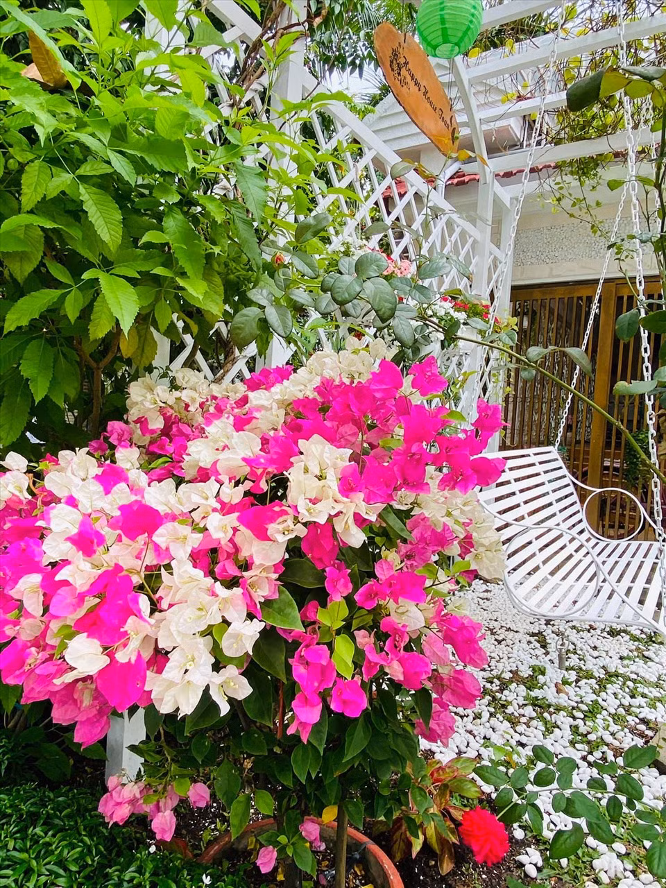 ... Ca sĩ Vy Oanh cho biết, cô rất yêu thích thiên nhiên, vì thế, xung quanh biệt thự đều được bố trí khéo léo với những khóm hoa tươi, cây ăn trái. Trong khu vườn, Vy Oanh và ông xã chọn nhiều vật dụng trang trí vô cùng bắt mắt như xích đu, bánh xe, xe đạp...