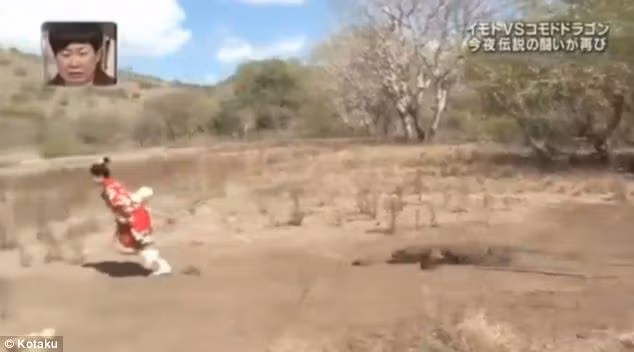 Người phụ nữ dũng cảm đã gắn một tấm thịt vào dây và buộc vào người để nhử con rồng Komodo, đây là một phần của một bản phác thảo truyền hình táo bạo.