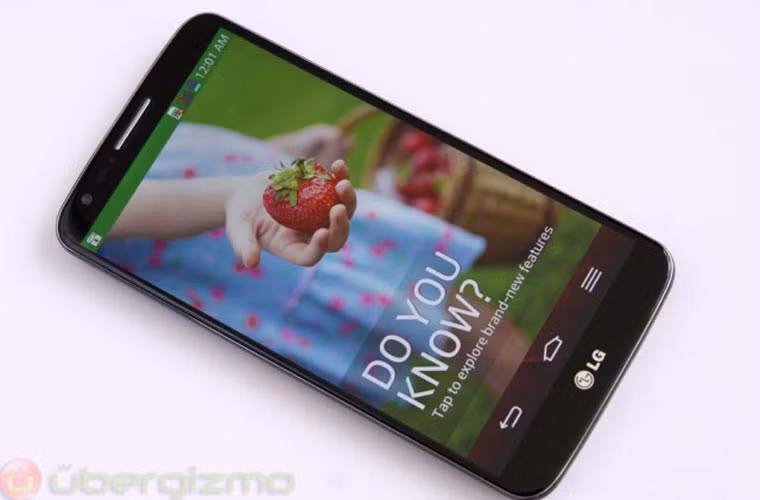 Lượng bán LG G2 thấp hơn dự tính. Chiếc điện thoại được mong chờ nhất của LG trong dịp nửa cuối năm LG G2 đã không bán chạy như mong đợi. LG chỉ bán được 2,3 triệu/4 tháng kể từ ngày phát hành, so với mốc 3 triệu mà hãng này đặt ra cho quý III.