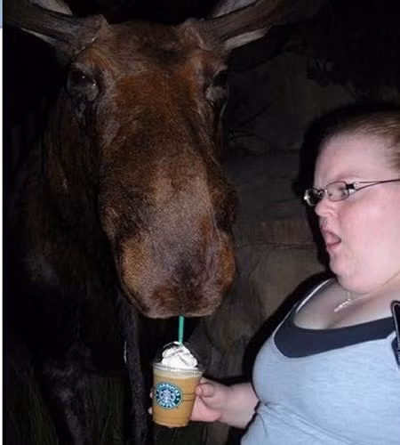 Dường như món đồ uống Starbuck mê hoặc được cả ngựa.