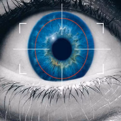 Samsung cũng sắp cho ra mắt điện thoại dùng máy quét mống mắt. Theo một bản báo cáo từ Hàn Quốc, Samsung đang có ý định dùng máy quét mống mắt, vốn khó bị làm giả hơn so với nhận diện vân tay, trên Galaxy S5 vào năm 2014 tới.