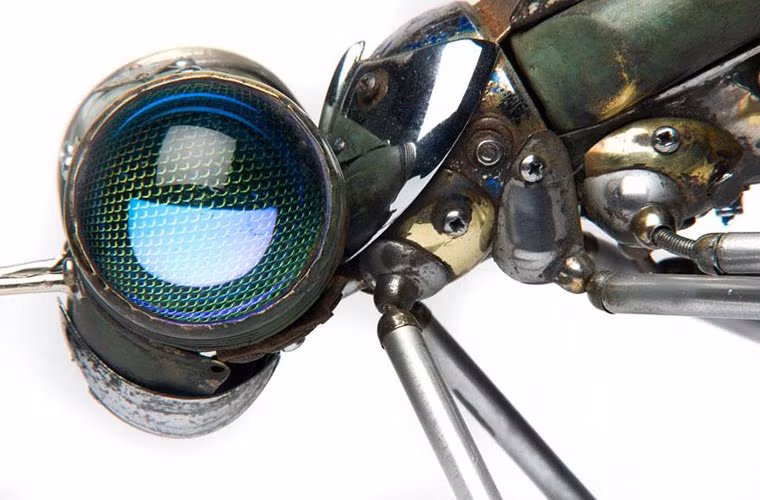 Nhìn gần, những ốc vít đã "tố cáo" sự giả mạo của chú chuồn chuồn này.