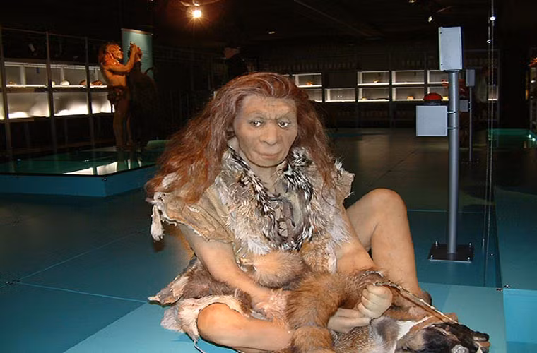 Ngoài ra, môi trường sống thay đổi, khiến việc săn bắn trở nên khó khăn cũng là một nguyên nhân được nhắc đến.