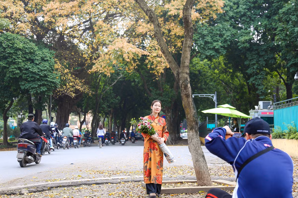 Bức tranh mùa xuân của Hà Nội thể hiện trên từng tán lá cây đủ màu sắc đan xen, làm mọi người đi qua góc phố xao xuyến.