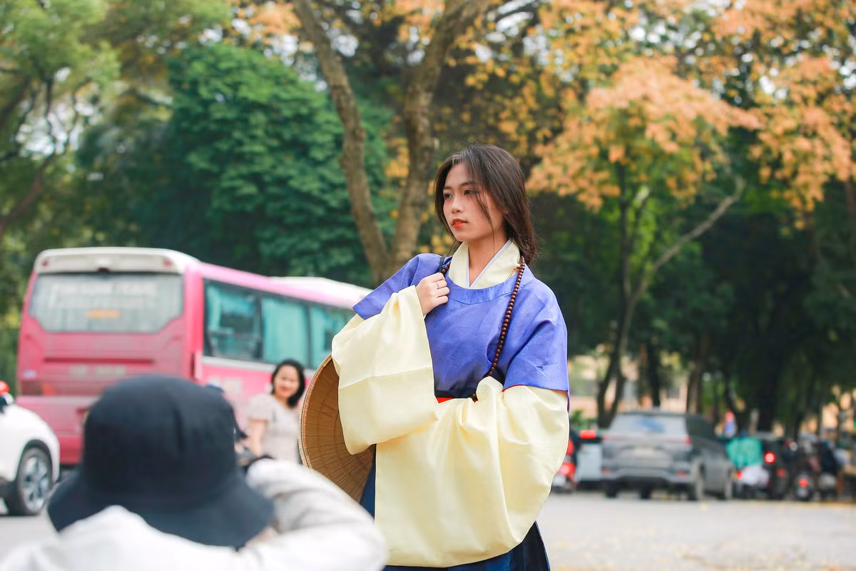 Theo các thợ chụp ảnh, thời gian thích hợp nhất để chụp ảnh với sưa thay lá là vào 8 đến 9h sáng hoặc 3 đến 4h chiều.