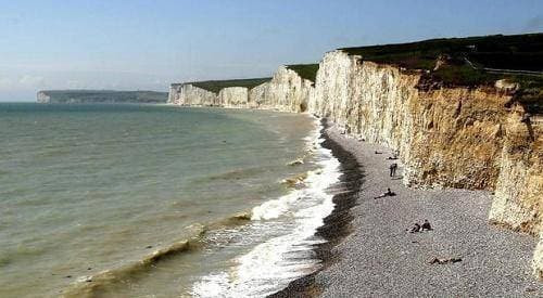 Su hoi sinh ky dieu cua chich choe hong trang