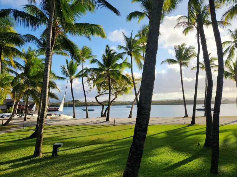 Mauritius- "đảo tỷ phú' được giới nhà giàu săn đón - Hình 3 Mauritius-