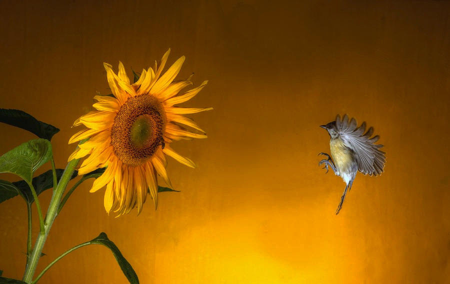 Những người sinh tháng Âm lịch này ít phiền muộn, lạc quan, may mắn - Hình 2 Nhung nguoi sinh thang Am lich nay it phien muon, lac quan, may man-Hinh-2