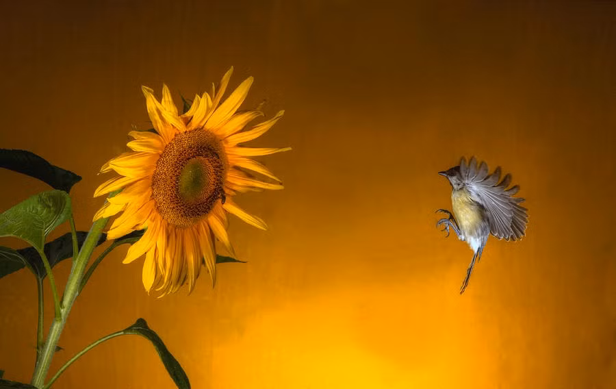 Nhung nguoi sinh thang Am lich nay it phien muon, lac quan, may man-Hinh-2