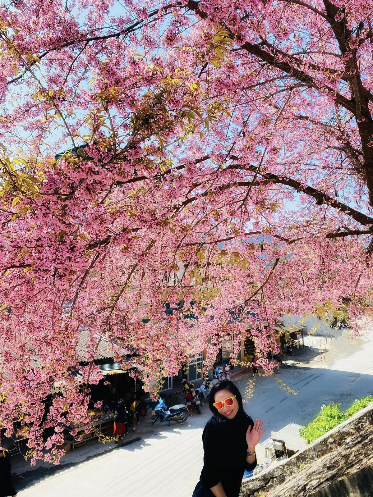 Con duong than thanh o Ha Giang co hang mai anh dao ruc ro-Hinh-4