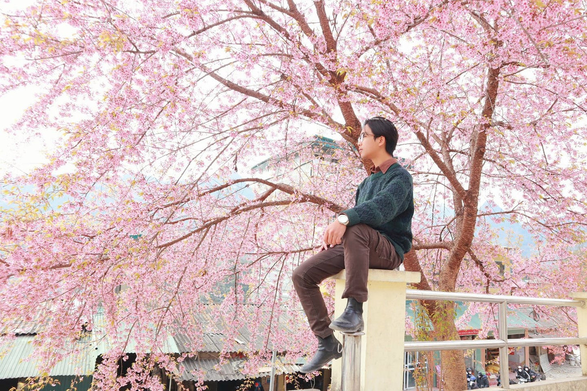 Con duong than thanh o Ha Giang co hang mai anh dao ruc ro-Hinh-9