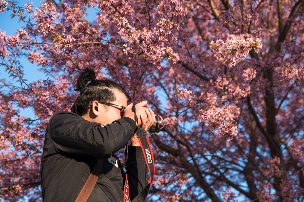 Con duong than thanh o Ha Giang co hang mai anh dao ruc ro-Hinh-10