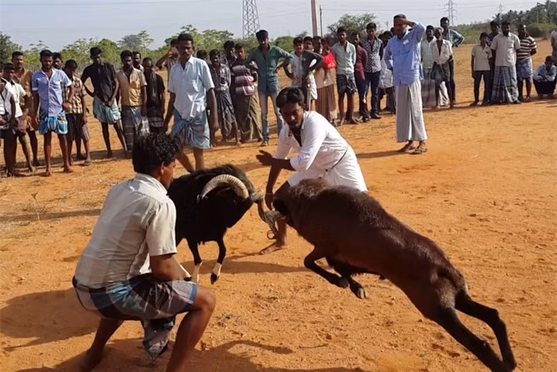 Man choi de “tan khoc” o An Do: Ke phan khich, nguoi phan no