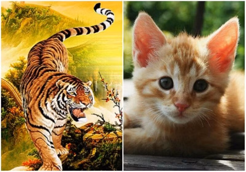 Tuổi Dần và tuổi Mão. Những người thuộc con giáp Dần và Mão có mệnh chủ thuộc về hành Mộc, Mộc lại sinh Hỏa thế nên sử dụng số cuối sim điện thoại là số 9 sẽ mang đến vận đào hoa tốt đẹp, nhân duyên êm ấm, thắm thiết mặn nồng với người khác giới.