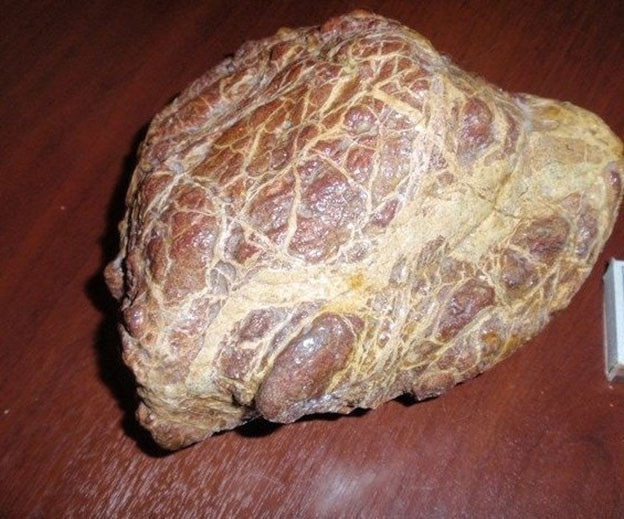 Một miếng thịt tươi ư? Đừng dại sử dụng cho bữa ăn của bạn, đây là một tảng đá chính hiệu