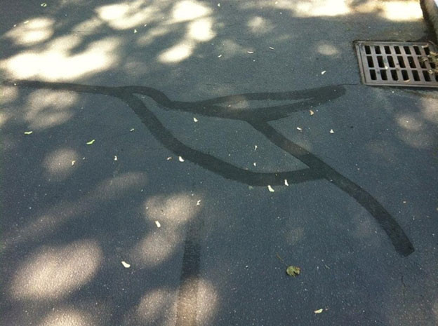  Những vết nứt được sơn sửa trên đường vô tình tạo nên hình một chú chim ruồi sinh động 