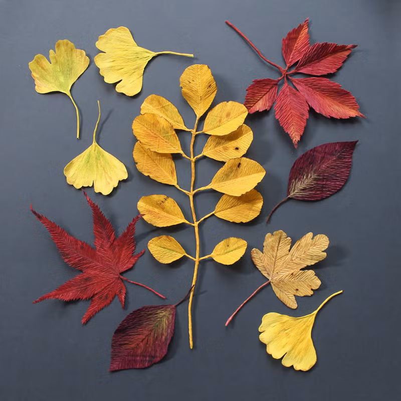 "Tôi có rất nhiều ý tưởng mới để làm với giấy nhún, nhưng có lẽ sẽ mất khá nhiều thời gian”, Tina cho biết. Trong ảnh: bộ lá bằng giấy./.