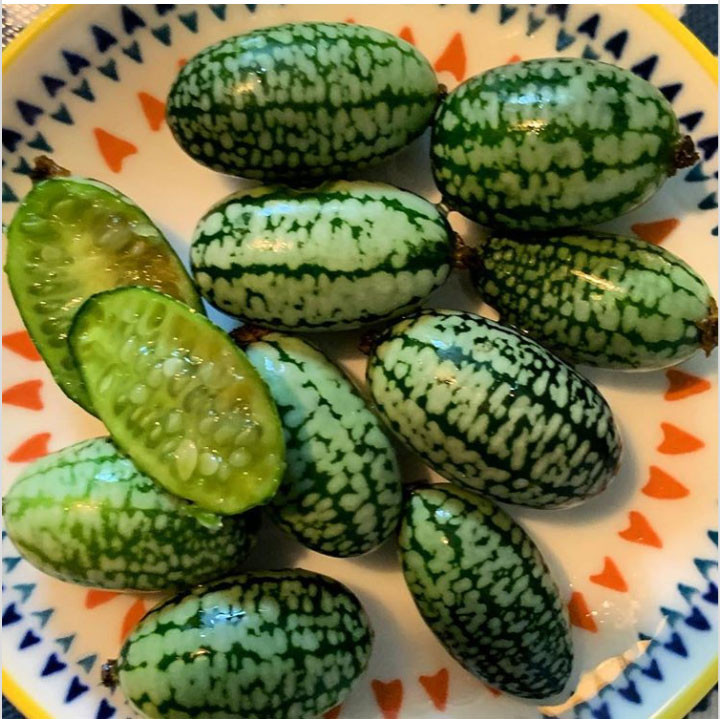  Cucamelon - một loại trái nhỏ có hình dáng giống như quả dưa hấu nhưng vị lại y như...dưa chuột
