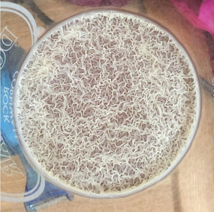  Nếu để cốc bia lâu quá 1 tuần, bạn sẽ thấy nổi lên bề mặt là 1 lớp mỏng chi chít nấm men