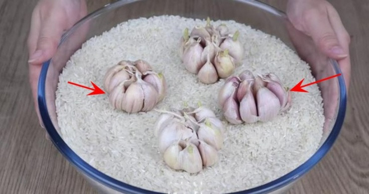 Vui mot cu toi vao thung gao, dieu xay ra gay bat ngo