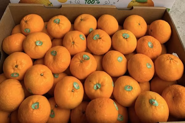 Thuong nhan Trung Quoc mua gom vai thieu gia cao