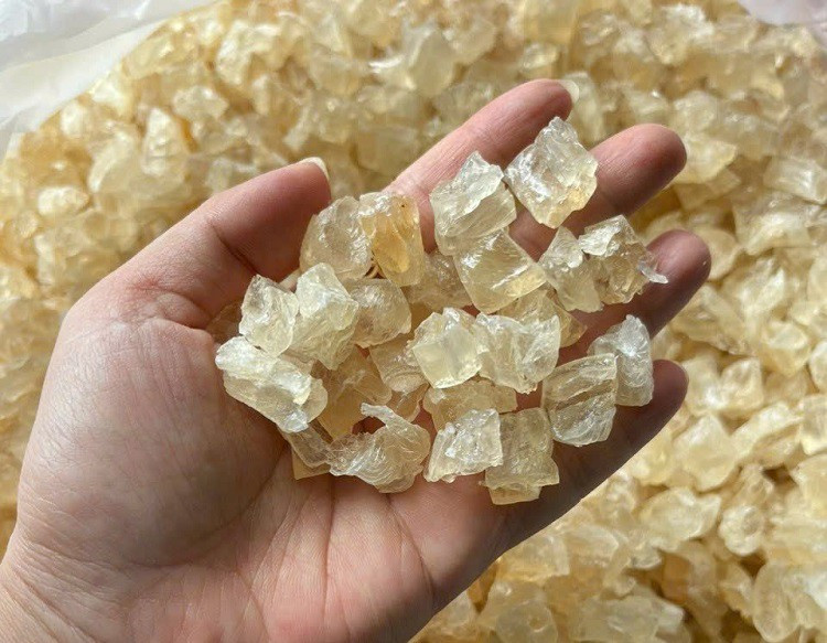 Ninh Thuan co loai nhua cay an nhu to yen, gia tu 220 nghin/kg-Hinh-6