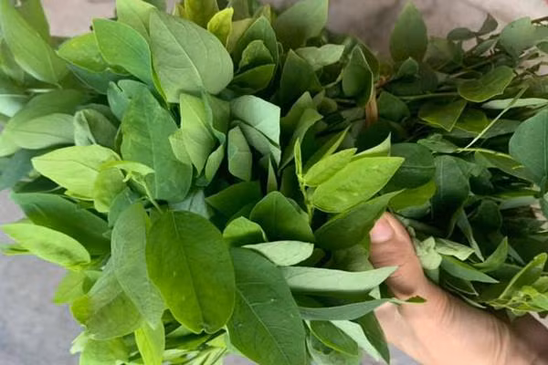 Loai rau re beo nhung luong vitamin C cao hon cam, chanh