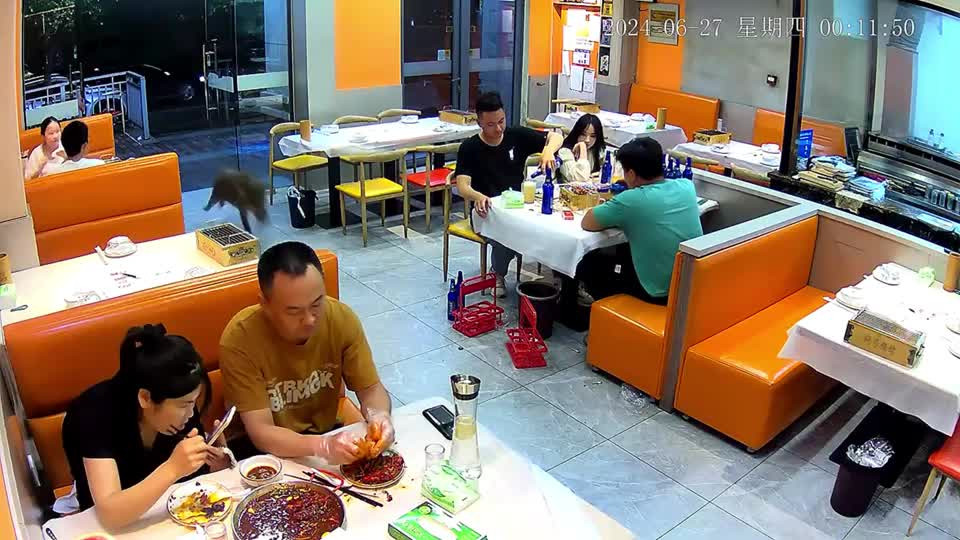 Lon rung bat ngo lao vao nha hang, nhieu nguoi hoang so