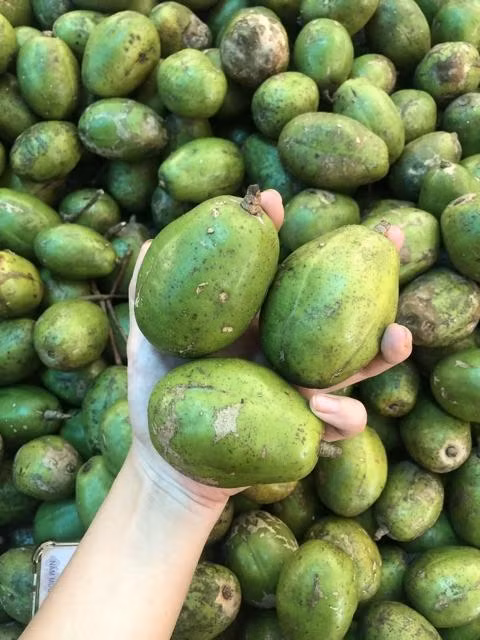 5 loai qua quen thuoc co the tieu diet mam mong ung thu-Hinh-2